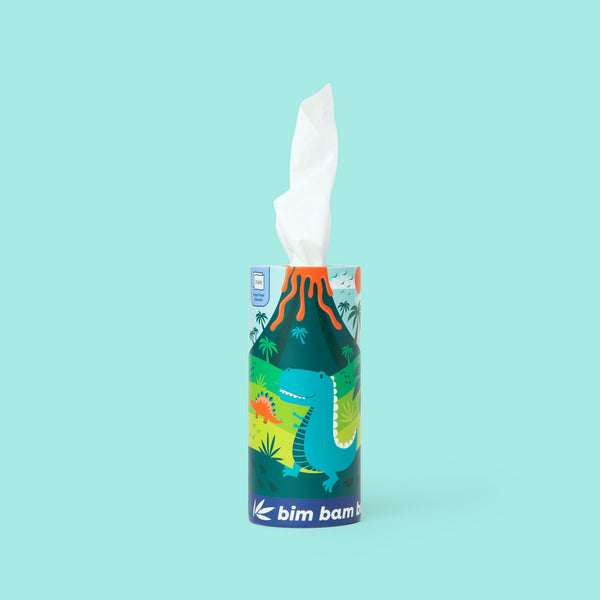 Cylindrical tissue box with dinosaur-themed design on a light turquoise background