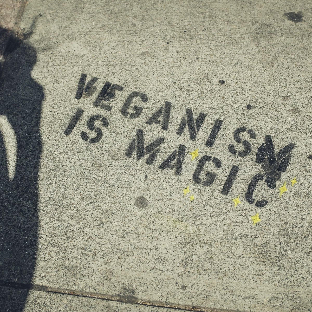 So...Vegan Toilet Paper Is a Thing? The Best Cruelty-Free TP for your Plant-Based Bum