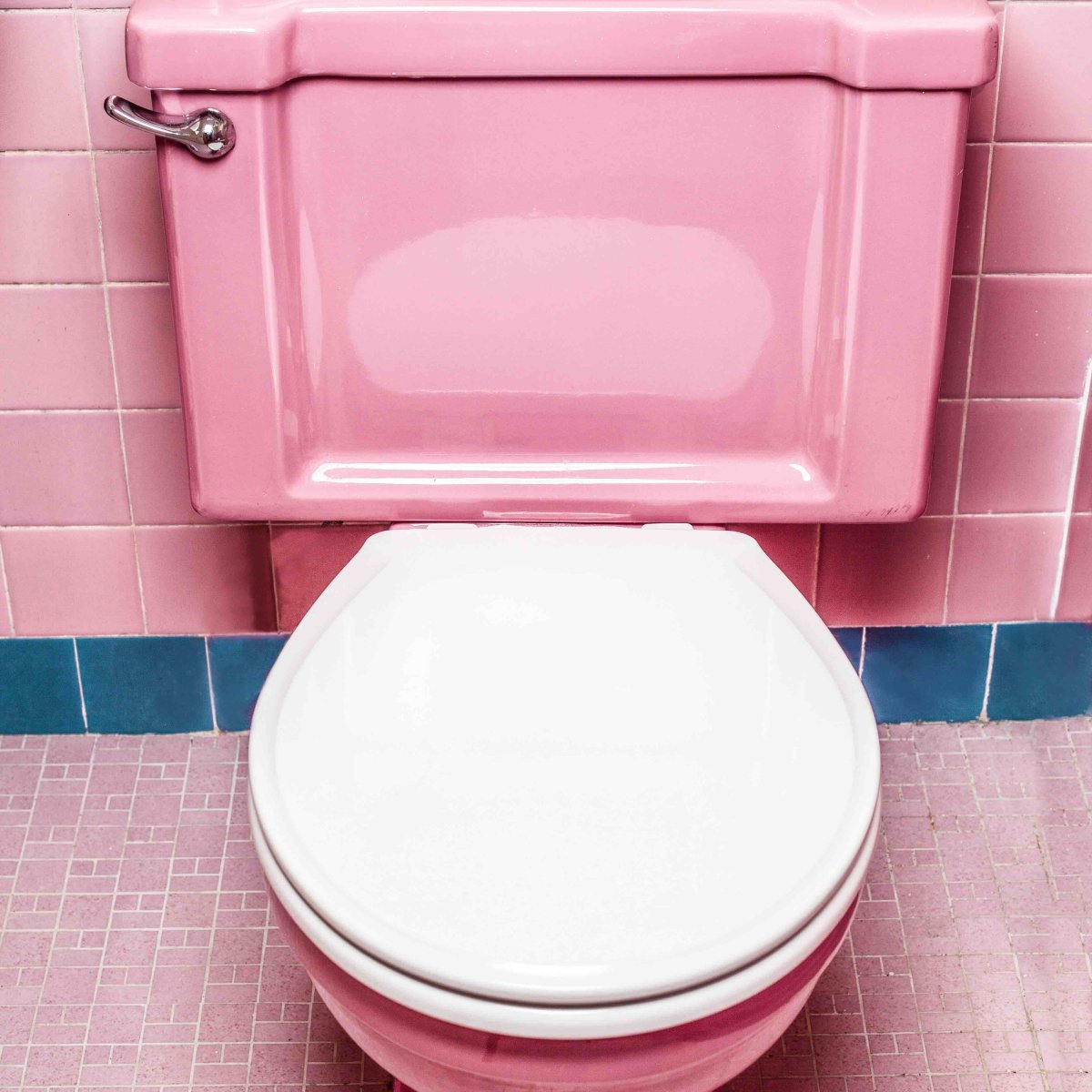 pink toilet