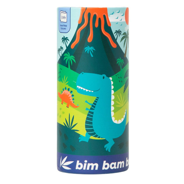 Colorful dinosaur-themed packaging with volcano and palm trees