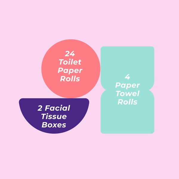 Illustration showing 24 toilet paper rolls, 4 paper towel rolls, and 2 facial tissue boxes on a pink background.